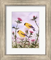 Framed Goldfinch and Thistle