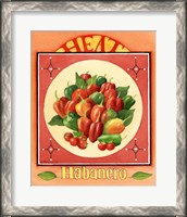 Framed Habanero