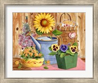 Framed Pansies & Sunflowers