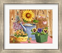 Framed Pansies & Sunflowers