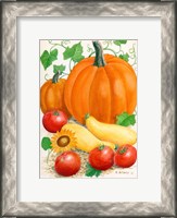 Framed Pumpkins, Tomatoes and Squash