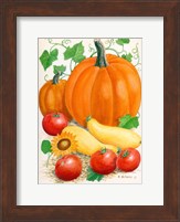 Framed Pumpkins, Tomatoes and Squash