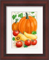 Framed Pumpkins, Tomatoes and Squash