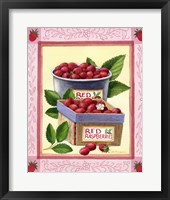 Framed Red Raspberries