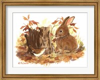 Framed Wren & Bunny