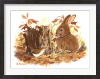 Framed Wren & Bunny