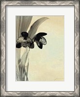 Framed Orchid Blush Panels I
