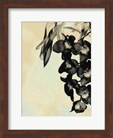 Framed Orchid Blush Panels II