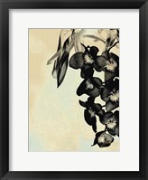 Framed Orchid Blush Panels II