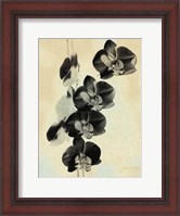 Framed Orchid Blush Panels III