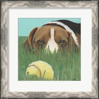 Framed Dlynn's Dogs - Sunny