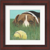 Framed Dlynn's Dogs - Sunny