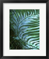 Framed Emerald Feathering I