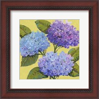 Framed Spring Hydrangeas I