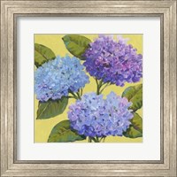 Framed Spring Hydrangeas I