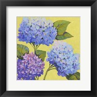 Spring Hydrangeas II Framed Print