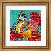 Framed Poised Butterfly I