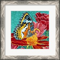 Framed Poised Butterfly I