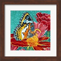 Framed Poised Butterfly I