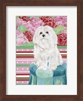 Framed Della Rose Maltese