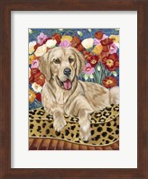 Framed Golden Boy Retriever