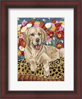 Framed Golden Boy Retriever