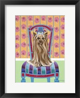 Framed Crown Princess Yorkie