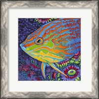 Framed Brilliant Tropical Fish I