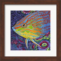 Framed Brilliant Tropical Fish I