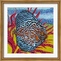 Framed Brilliant Tropical Fish II