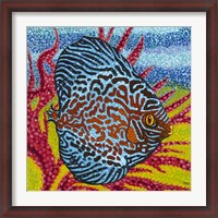 Framed Brilliant Tropical Fish II