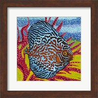 Framed Brilliant Tropical Fish II