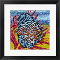 Framed Brilliant Tropical Fish II