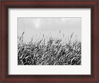 Framed Dune Triptych I