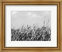 Framed Dune Triptych II