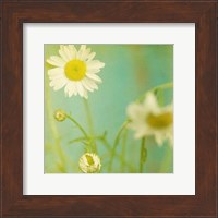 Framed White Flowers IV