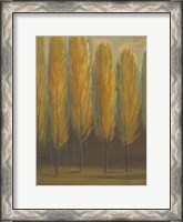 Framed Soft Sienna