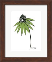 Framed Graphic Cone Flower I