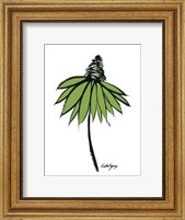 Framed Graphic Cone Flower II