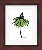 Framed Graphic Cone Flower II