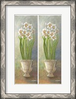 Framed 2-Up Narcissus Vertical