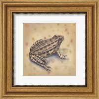 Framed Pond Critters I