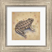 Framed Pond Critters I