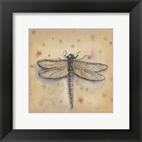 Pond Critters II Framed Print