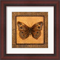 Framed Crackled Butterfly - Buckeye