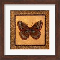 Framed Crackled Butterfly - Fritillary