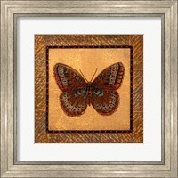 Framed Crackled Butterfly - Fritillary