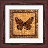 Framed Crackled Butterfly - Monarch