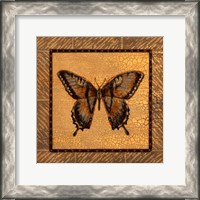Framed Crackled Butterfly - Swallowtail