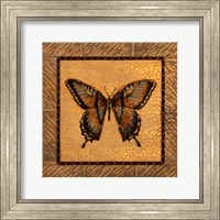 Framed Crackled Butterfly - Swallowtail
